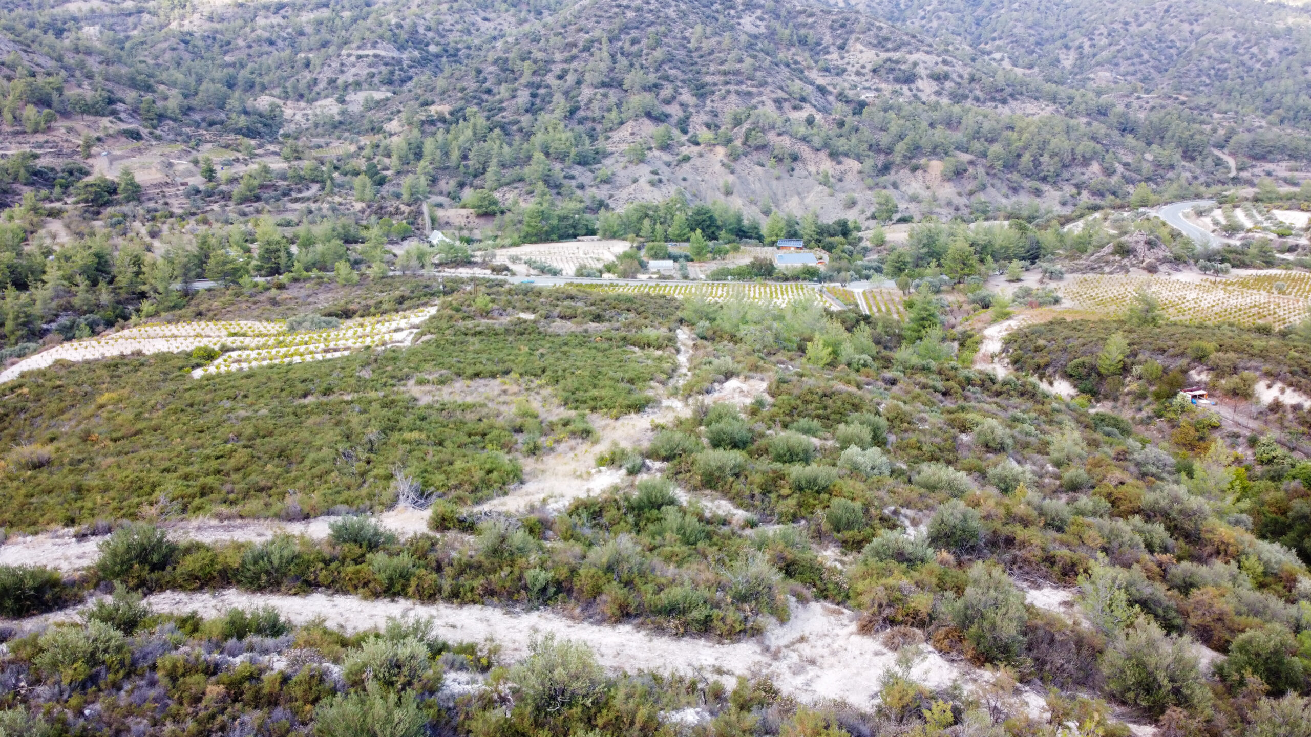 ΠΩΛΕΙΤΑΙ ΑΓΡΟΤΕΜΑΧΙΟ 25.284 Τ.Μ. ΣΤΗΝ ΤΡΙΜΙΚΛΙΝΗ -ΛΕΜΕΣΟΣ-ID 002241150